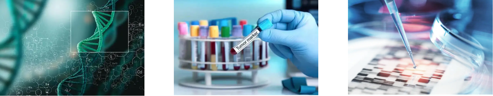 利来w66(中国区)_来利国际旗舰