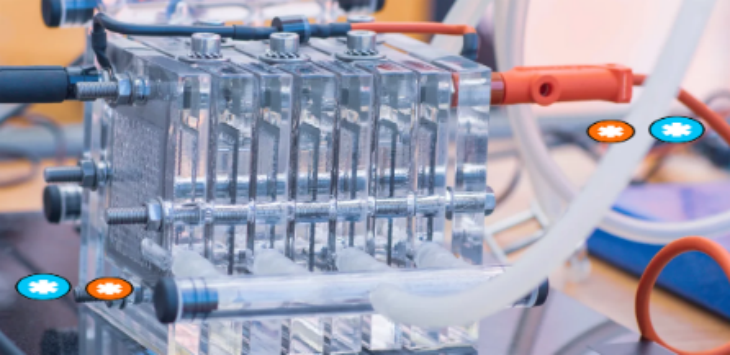 利来w66(中国区)_来利国际旗舰