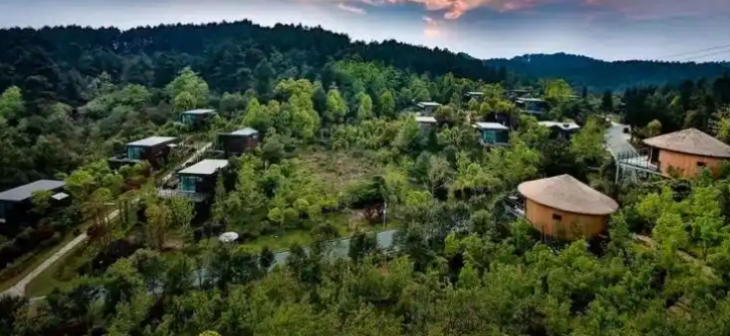 利来w66(中国区)_来利国际旗舰