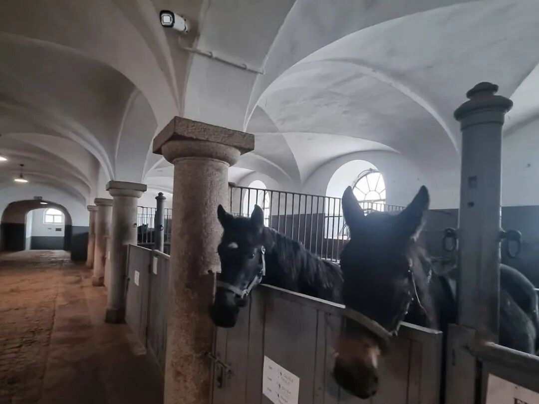 必发集团(股份)有限公司-官方网站